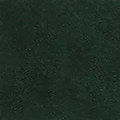 Forest green velvet fabric texture with a short pile and granular weave, displaying a consistent, muted color and diffused lighting.